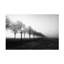 Art sur toile «bolologien» par Christophe Colomb-109226081