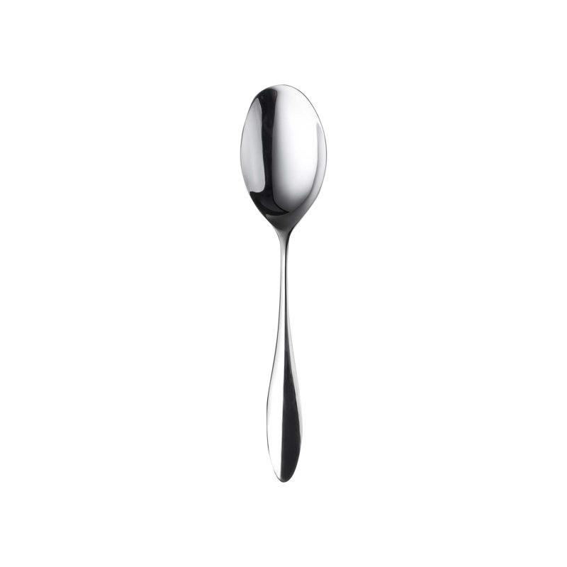 Carinzia Stainless Steel Serving Spoon
