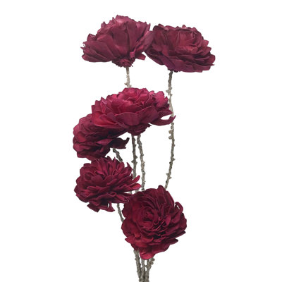 Red Wine Dahlia Drop-In Bouquet, 6-Stem