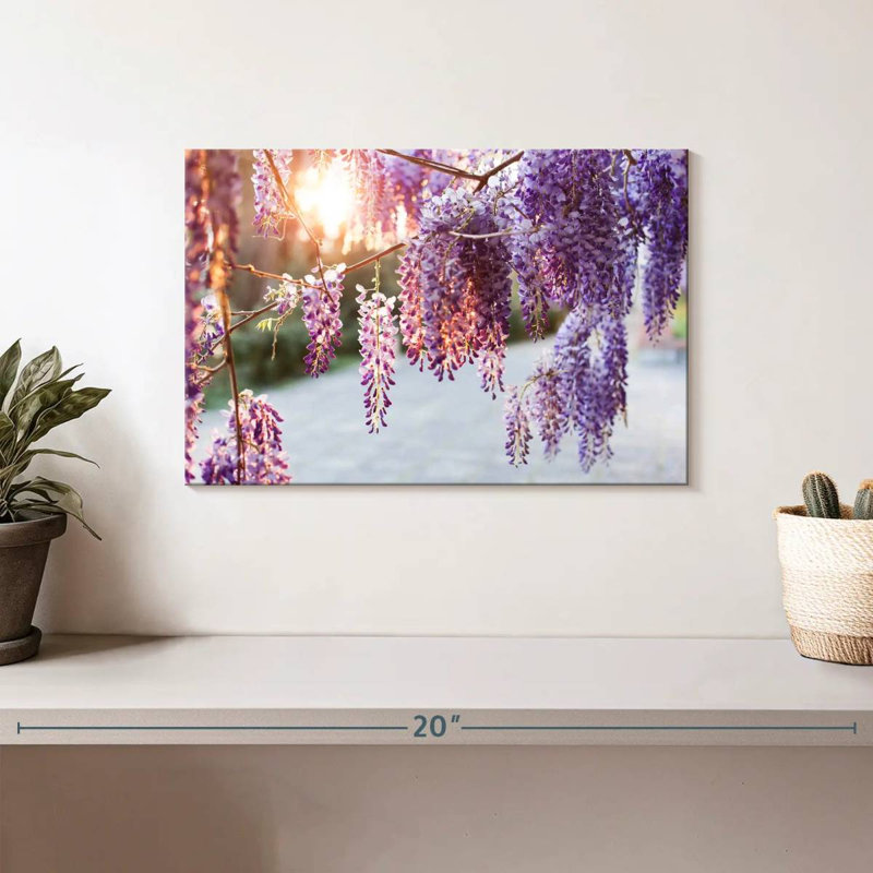 Harnek Wisteria Vine, H 8 po x l 12 po
