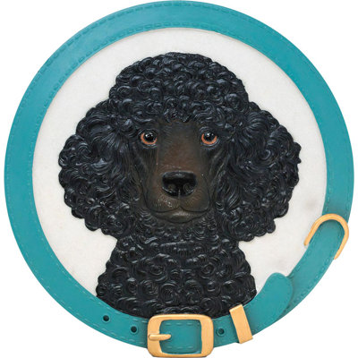 Poodle
