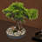Desktop Artificial Bonsai Pine Tree
