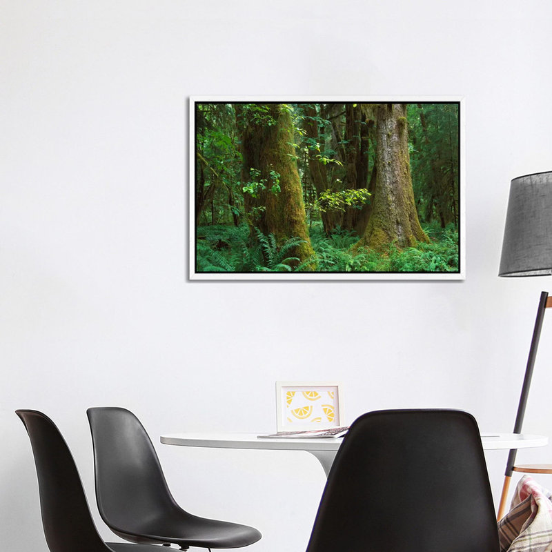 Moss-Covered Trees And Dense Undergrowth In The Hoh Temperate Rainforest, Olympic National Park 1 Piece Wall Art on Canvas
