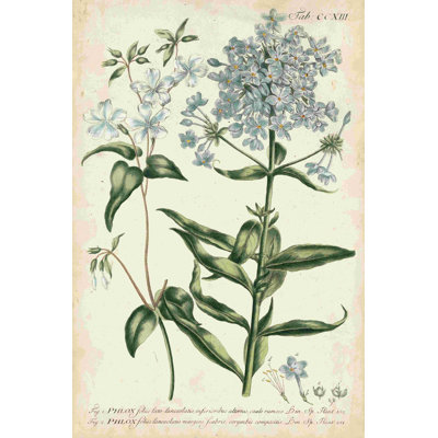 Chambray botanique II