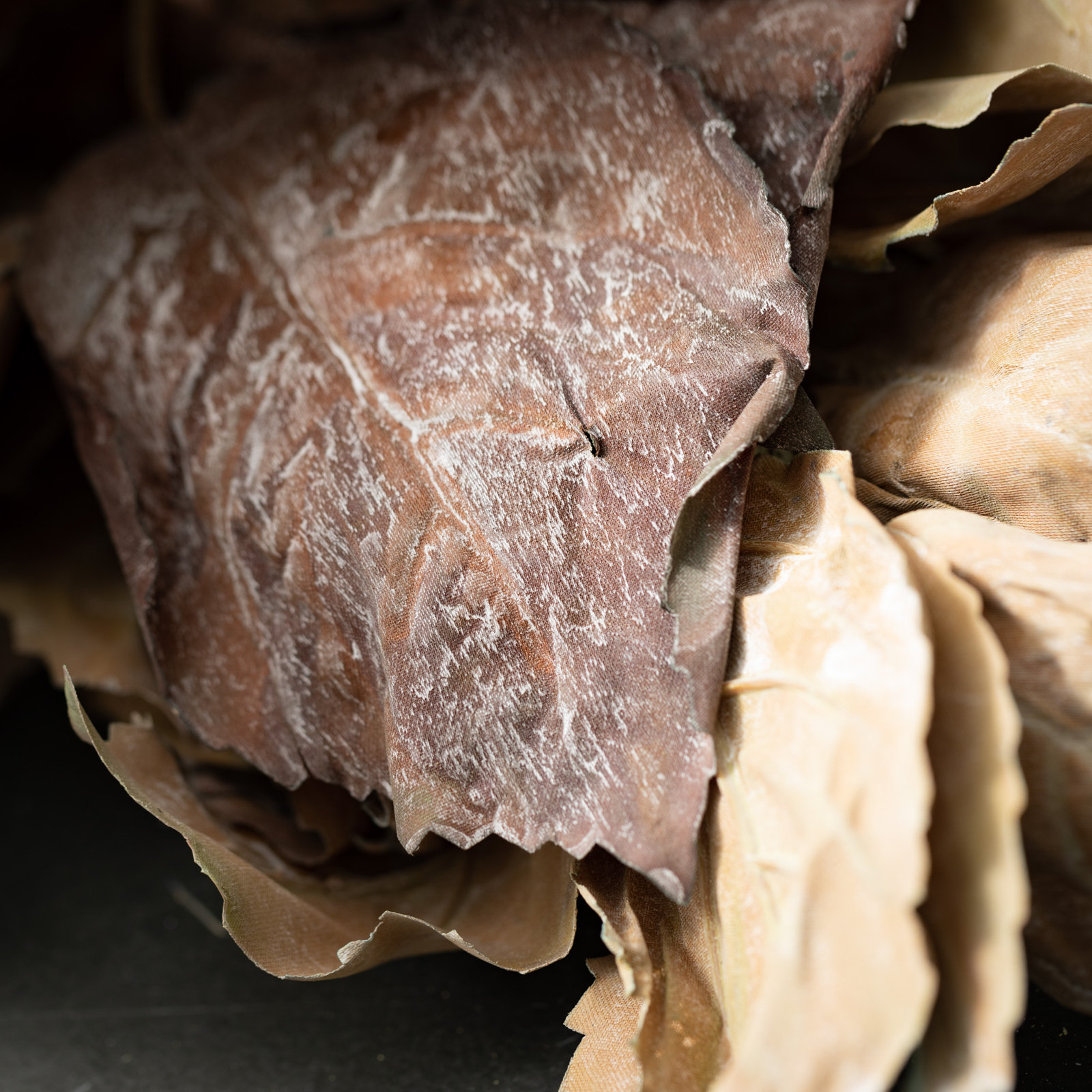 Hydrangea Leaf Stems