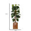 Arbre à fleurs artificiel en pot 66 po Panama Aureus