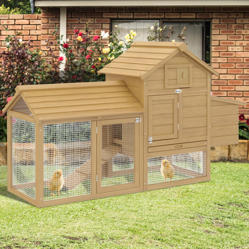 Chicken Coop