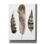 Art mural sur toile Epic Graffiti «Earthtone Feathers 2» par Alicia Lu Dwig-111161578