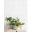 Rouleau de papier peint Crosshatch-337363852-337363855