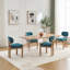 Plush Chenile Fabric Dining Chairs-2108981745
