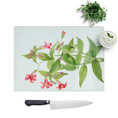 Lewis Monkey Flower by Mary Vaux Walcott Chopping Board