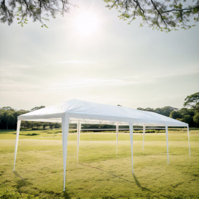 10*30FT Wedding Tent with 8 Removable Sidewalls(6 Windows Walls + 2 Zipper Walls),Outdoor Use for Party,Wedding,Marketplace