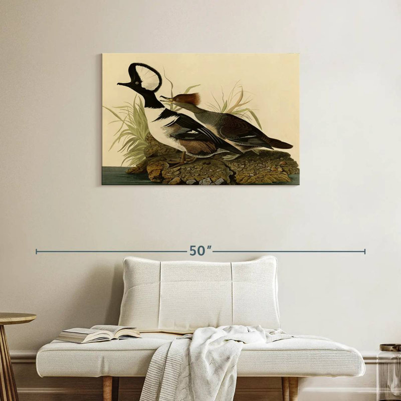 Hooded Merganser, 24" H x 36" W