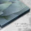 Agave bleue, toile tendue I-Gallery-352215822