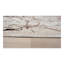 Penina Luxury Area Rug Circles Abstract Design-1519679341