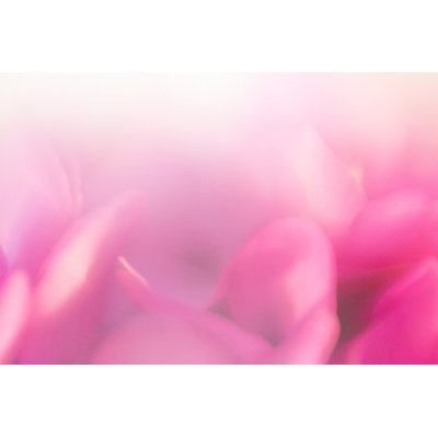 Soft Focus Flower Background by Rudchenko - Wrapped Canvas Print