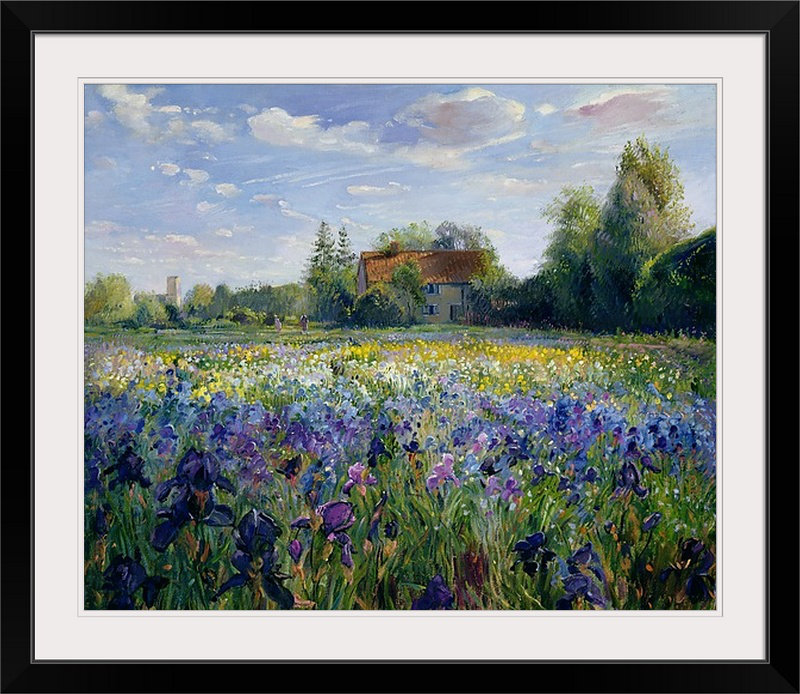 «Yonkers Evening at the Iris Field» par Timothy Easton, reproduction d'art, H 32 po x l 38 po x P 1 po, Cadre noir