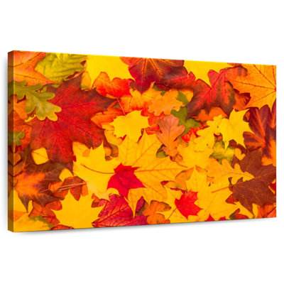 Harnek Pile Of Maple Leaves