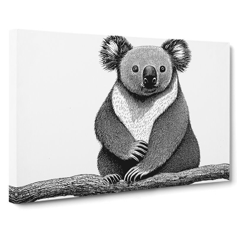 Sitting Koala Bear - Wrapped Canvas, 35cm H x 50cm W x 3cm D