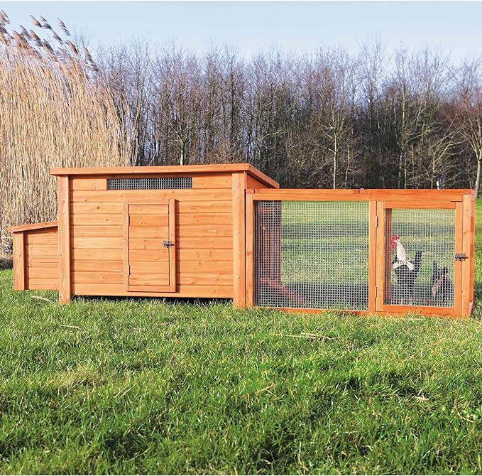 Ezria Chicken Coop with Chicken Run