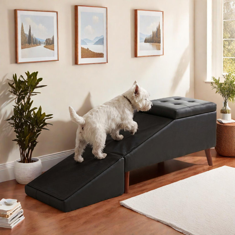 Repose-pieds convertible 2-en-1 pour rampe d'escalier pour petits chiens et chats, Noir