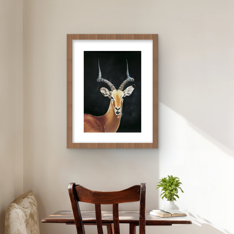 Antilope, reproduction encadrée avec passe-partout