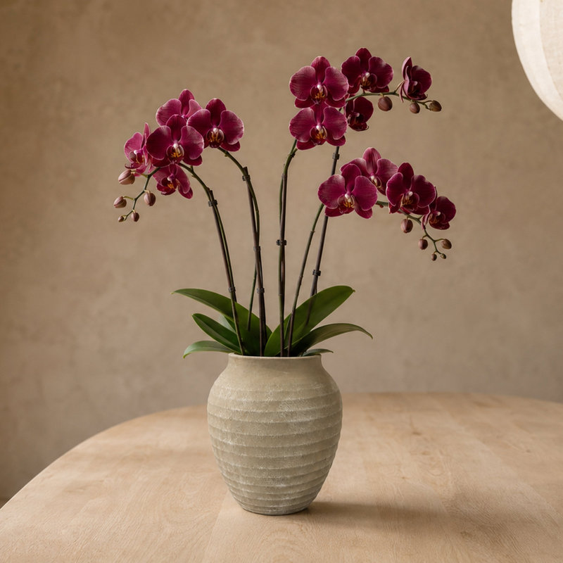 Pot à fleurs Kira, 7.25