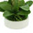 27 " Plastic and Polysilk Orchid Arrangement