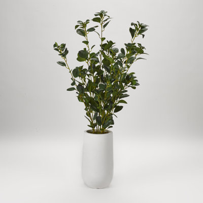 Faux Ficus Plant in Planter