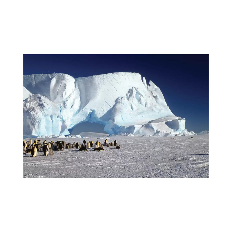 Emperor Penguin Colony And Iceberg, Weddell Sea, Antarctica by Konrad Wothe - Wrapped Canvas Print