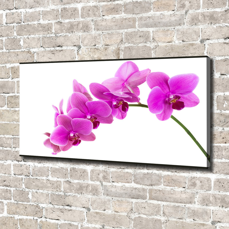 Pink Orchid - No Frame Print on Canvas