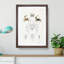Crabs & Sea Creatures PL. 8 by J.E. De Kay - Framed Print-55621197-55621201