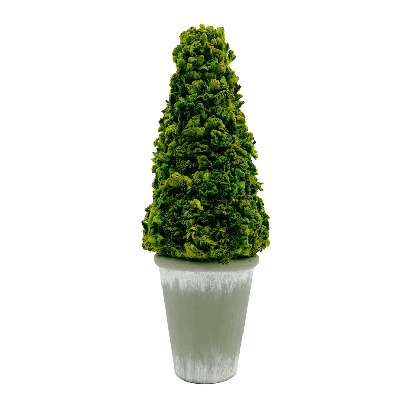 Paire de plantes topiaires en pot de 17 po
