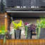 Grand pot à fleurs effilé de 18 pouces Mayne-1275149933-1299600483