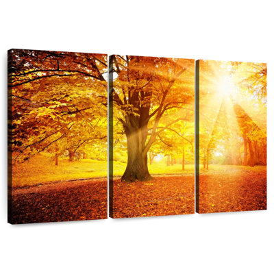 Alvord Bright Autumn