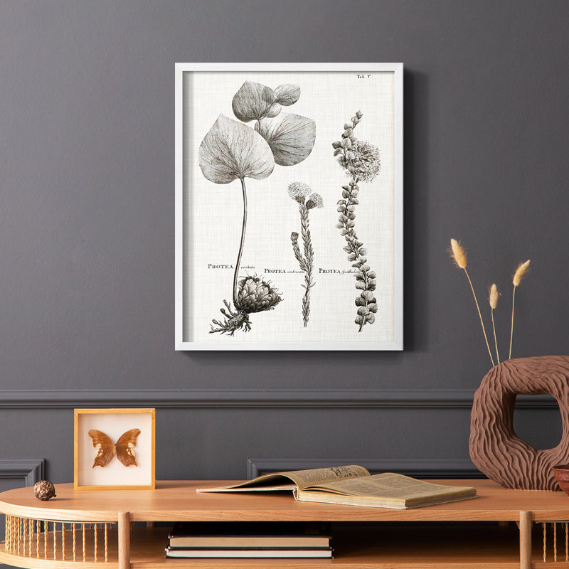 Protea II, reproduction encadrée - bois massif, Blanc, H 14 po x l 11 po