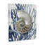 «Shell Coral Beach Blue» par Caroline Kelly - reproduction d'art-367380273-367380272