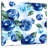 Yarlin Blueberry-109203106