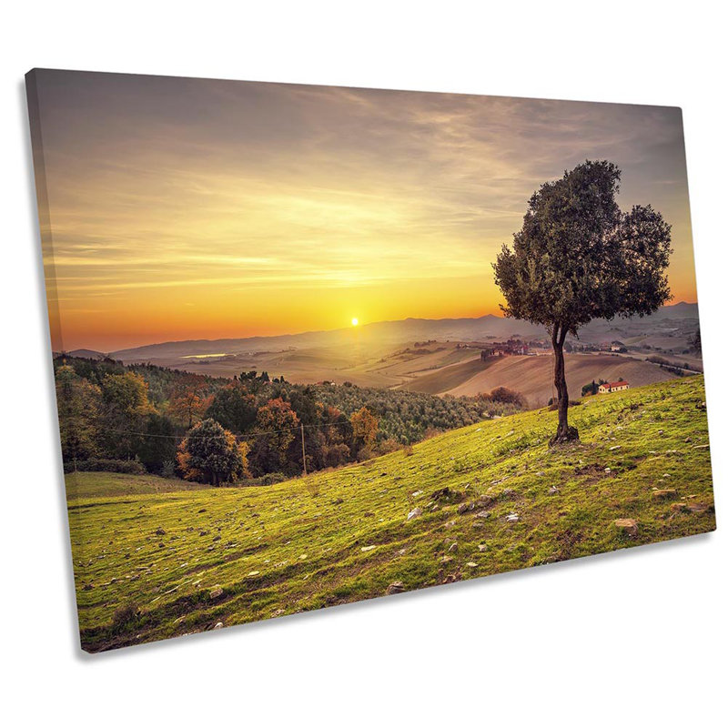 Tuscany Sunset Olive Tree - Wrapped Canvas Print, 30.5cm H x 45.7cm W