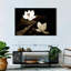 Fleurs de lotus Harnek-107680235