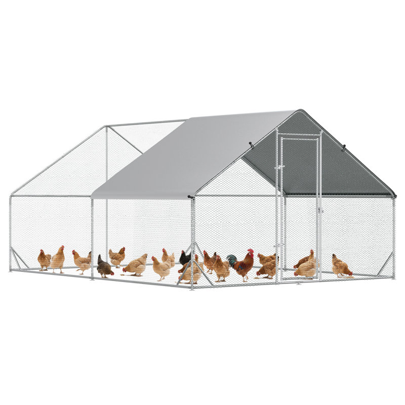 Poulailler avec couloir Mitzel, H 79 po x l 118 po x P 157,5 po