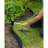 Ayssa 19.5cm H x 1.9cm W Black Polyethylene Plastic Lawn Edging