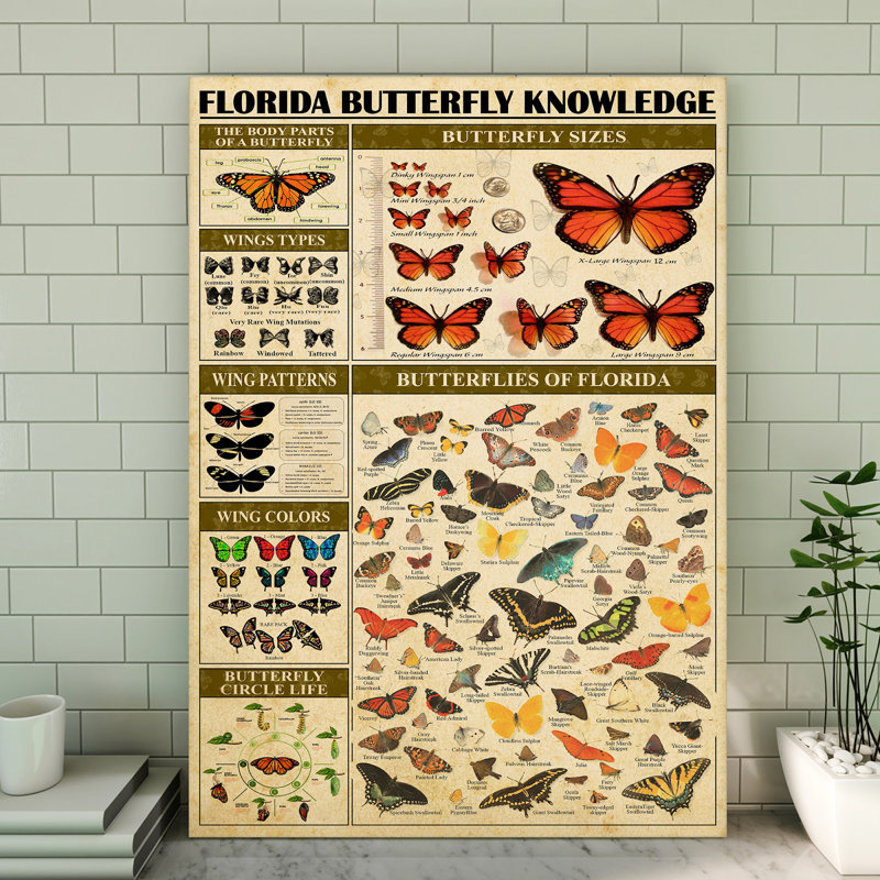 «Florida Butterfly», galerie d'art sur toile tendue - décor animalier rouge et noir, H 14 po x l 11 po x P 2 po