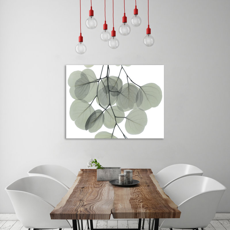 « descending eucalyptus 5 », reproduction d’impression sur toile tendue, H 12 po x l 16 po
