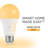 Charleville 9.5 Watt, LED Smart, Dimmable Light Bulb, Color Changing Tunable White E26/Medium (Standard) Base