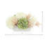 Spring Centerpiece with Hydrangeas and Pampas