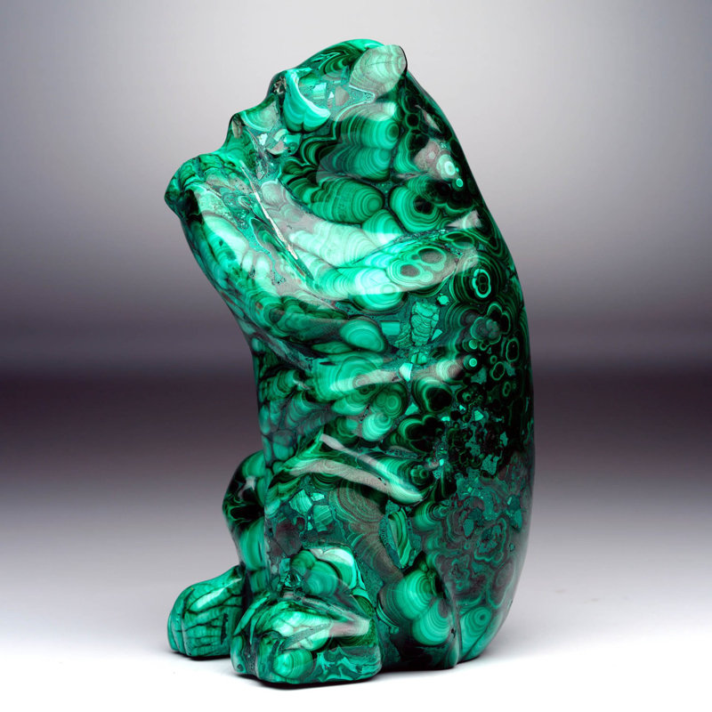 Malachite Monkey