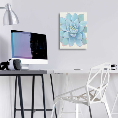 «Pastel Succulent I» par Tim O'Toole, art mural en verre acrylique, 12 po x 16 po