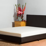Home & Haus Foam Mattress