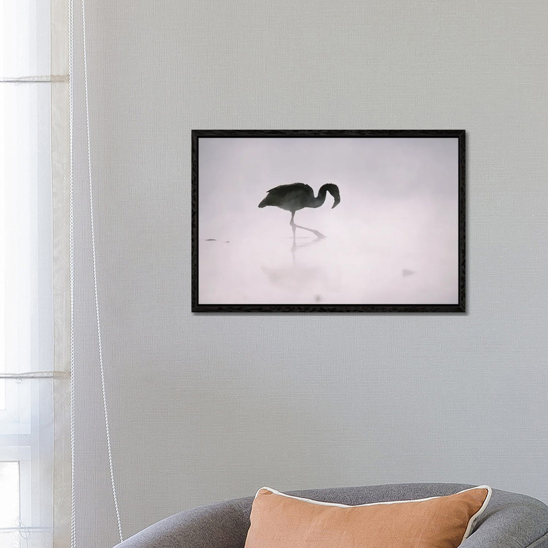 A Flamingo Wades In A Thermal Hot Spring In Chile's Atacama Desert by Joel Sartore - Gallery-Wrapped Canvas Giclée on Ca...